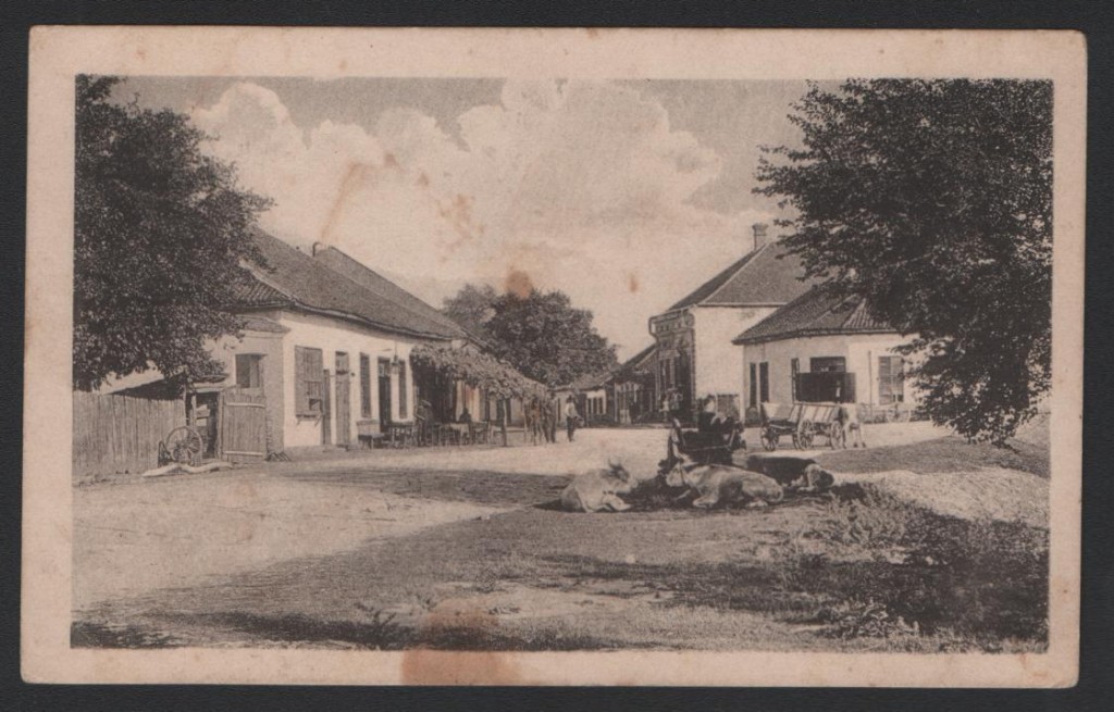 БАЧИНА, РОДНО СЕЛО ЗАБОРАВЉЕНОГ ХЕРОЈА